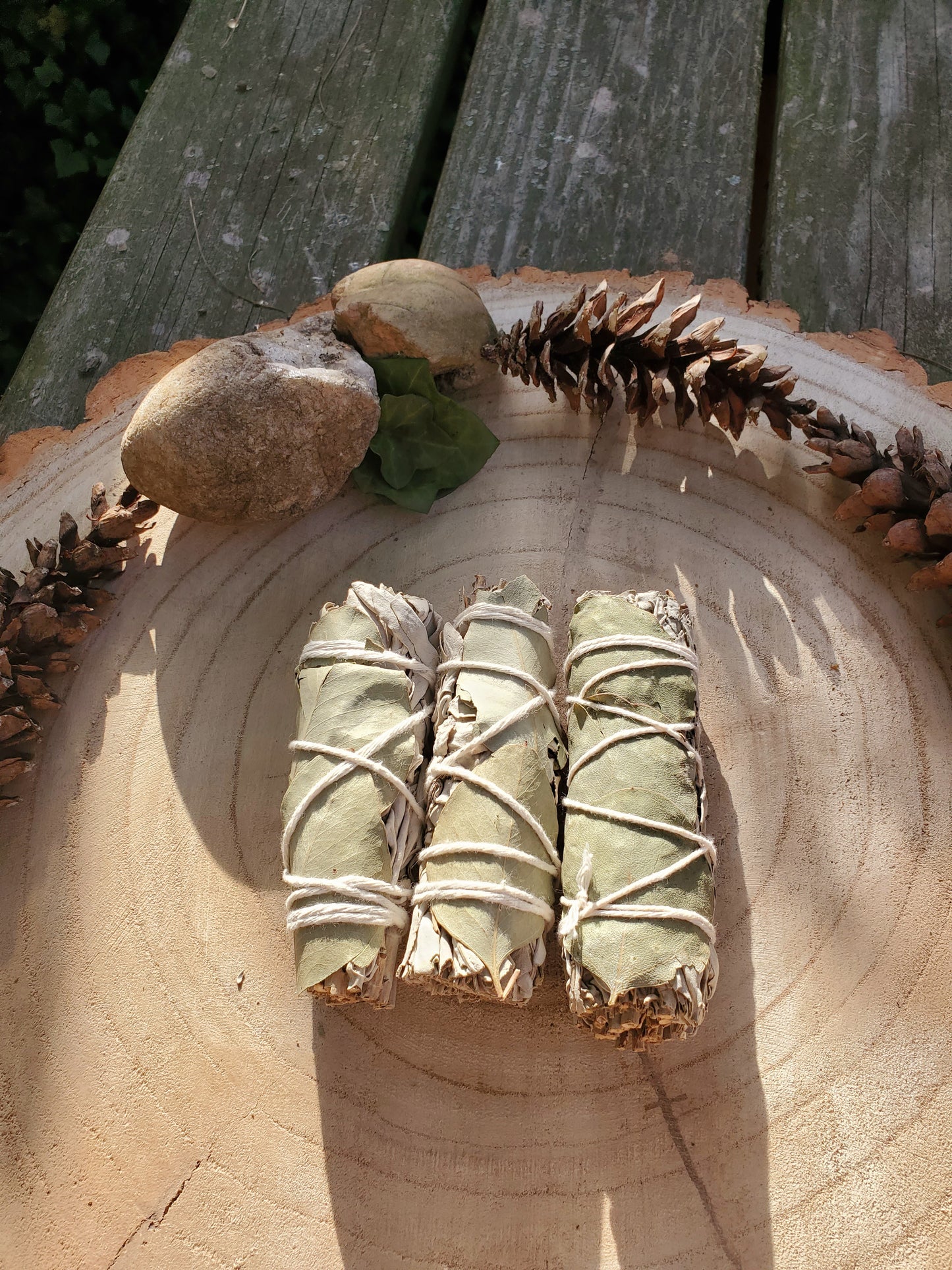 White Sage with Eucalyptus leaves bundle