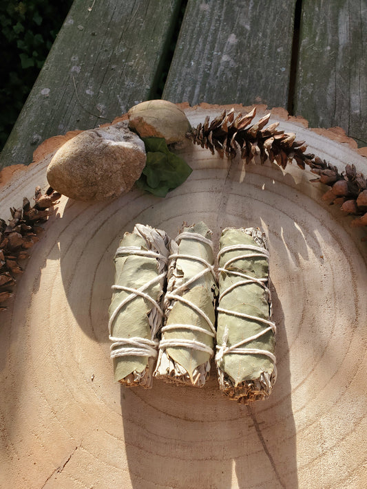White Sage with Eucalyptus leaves bundle